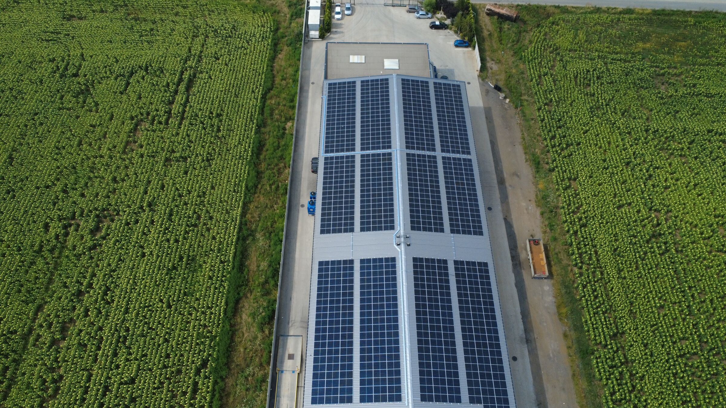 Panouri fotovoltaice Trina Solar pe acoperișul halei de producție Stehos Acero, Chitila